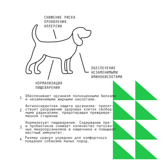 AJO Dog Mini Hypoallergenic сухой корм для взрослых собак миниатюрных и малых пород при аллергии и проблемах пищеварения, с индейкой и гречкой - 12 кг