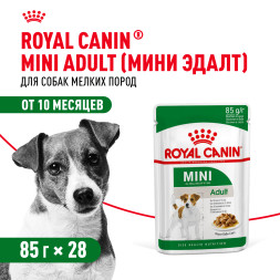Royal Canin Mini Adult влажный корм для взрослых собак мелких пород старше 10 месяцев, кусочки в соусе, в паучах - 85 г х 28 шт