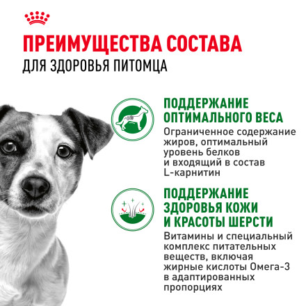 Royal Canin Mini Adult влажный корм для взрослых собак мелких пород старше 10 месяцев, кусочки в соусе, в паучах - 85 г х 28 шт