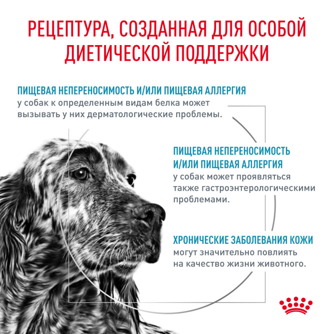 Royal Canin Hypoallergenic DR21 сухой диетический корм для собак при пищевой аллергии или непереносимости - 14 кг