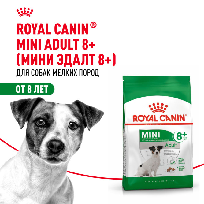 Royal Canin Mini Adult 8+ сухой корм для пожилых собак мелких пород старше 8 лет - 2 кг