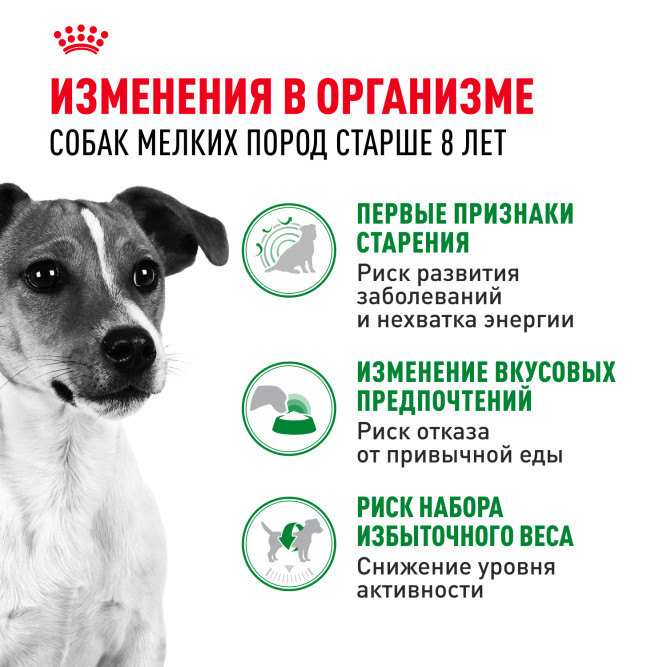 Royal Canin Mini Adult 8+ сухой корм для пожилых собак мелких пород старше 8 лет - 2 кг