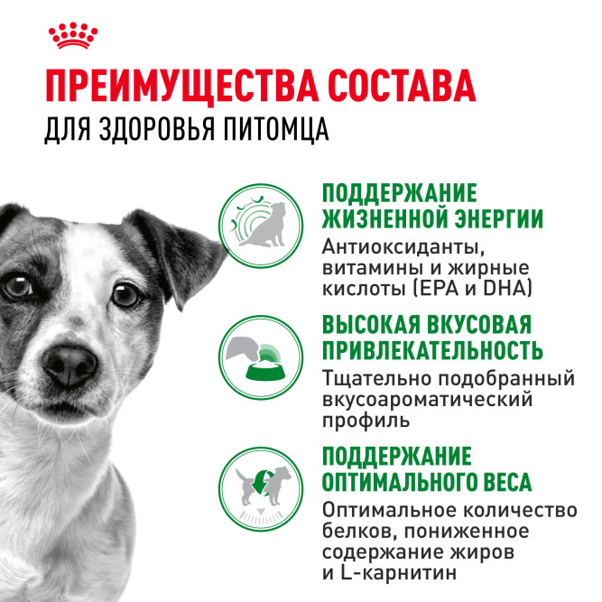 Royal Canin Mini Adult 8+ сухой корм для пожилых собак мелких пород старше 8 лет - 2 кг