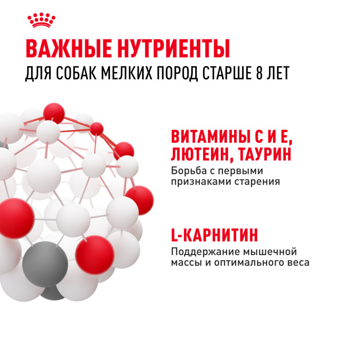 Royal Canin Mini Adult 8+ сухой корм для пожилых собак мелких пород старше 8 лет - 2 кг