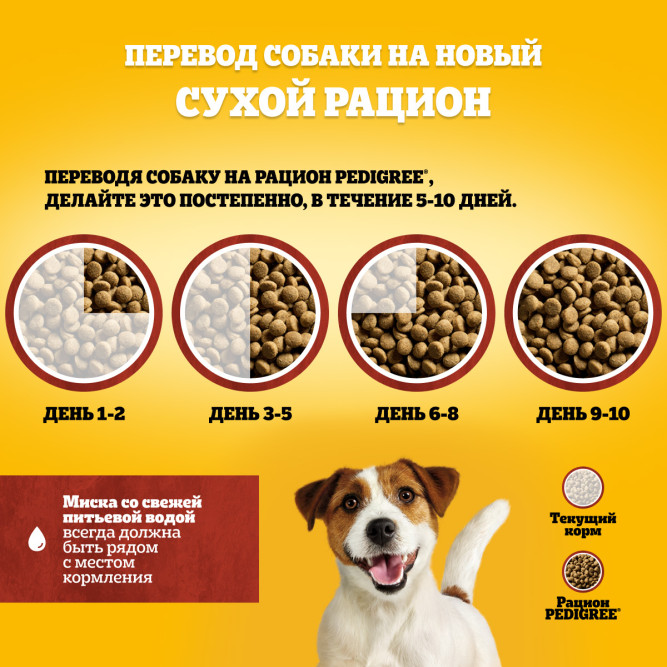 Pedigree сухой корм для взрослых собак мелких пород с говядиной - 2,2 кг