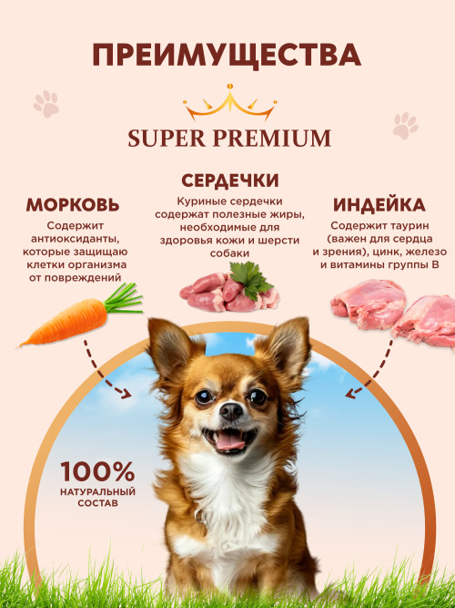 Chester Premium влажный корм для взрослых собак мелких пород, тушёная индейка с сердечками и морковью, в консервах - 240 г х 6 шт