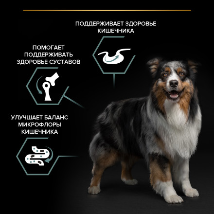 Pro Plan Opti Digest Medium сухой корм для взрослых собак средних пород при чувствительном пищеварении с ягненком - 3 кг