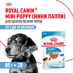 Royal Canin Mini Puppy влажный корм для щенков мелких пород в возрасте до 10 месяцев, кусочки в соусе, в паучах - 85 г х 28 шт