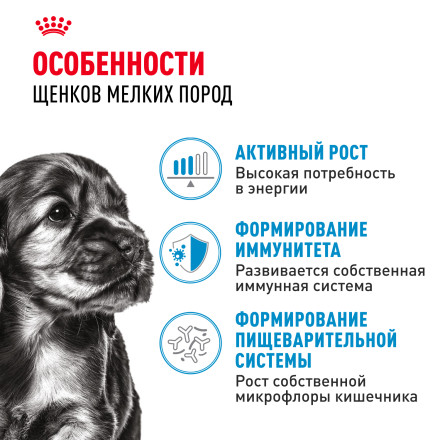 Royal Canin Mini Puppy влажный корм для щенков мелких пород в возрасте до 10 месяцев, кусочки в соусе, в паучах - 85 г х 28 шт