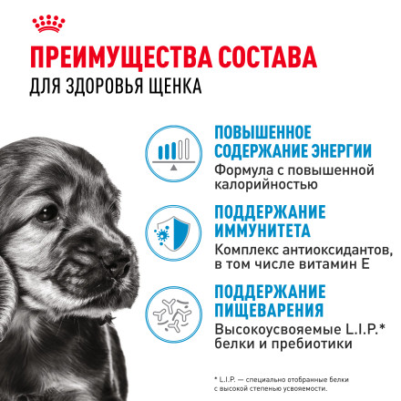 Royal Canin Mini Puppy влажный корм для щенков мелких пород в возрасте до 10 месяцев, кусочки в соусе, в паучах - 85 г х 28 шт