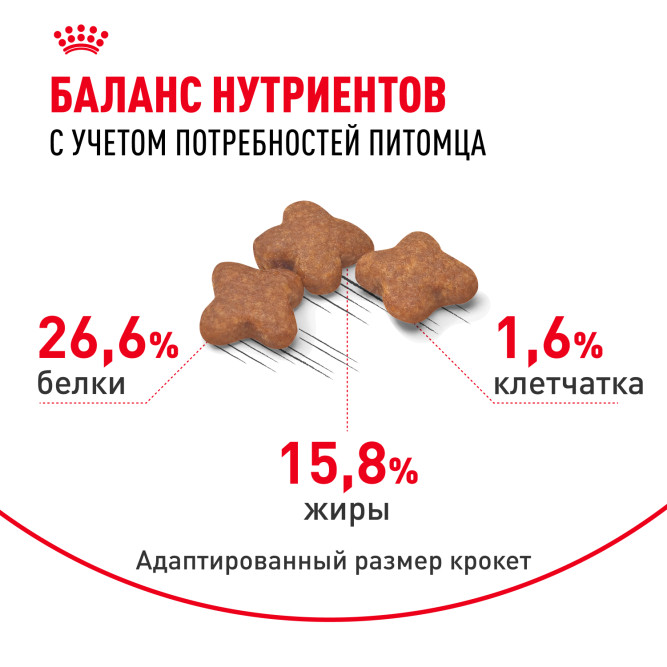 Royal Canin Mini Adult 8+ сухой корм для пожилых собак мелких пород старше 8 лет - 4 кг