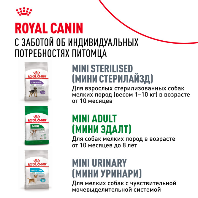 Royal Canin Mini Adult 8+ сухой корм для пожилых собак мелких пород старше 8 лет - 4 кг