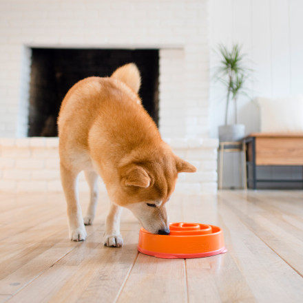 OutwardHound миска для собак для медленного поедания &quot;Водоворот&quot;, оранжевый, MD