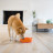OutwardHound миска для собак для медленного поедания &quot;Водоворот&quot;, оранжевый, MD
