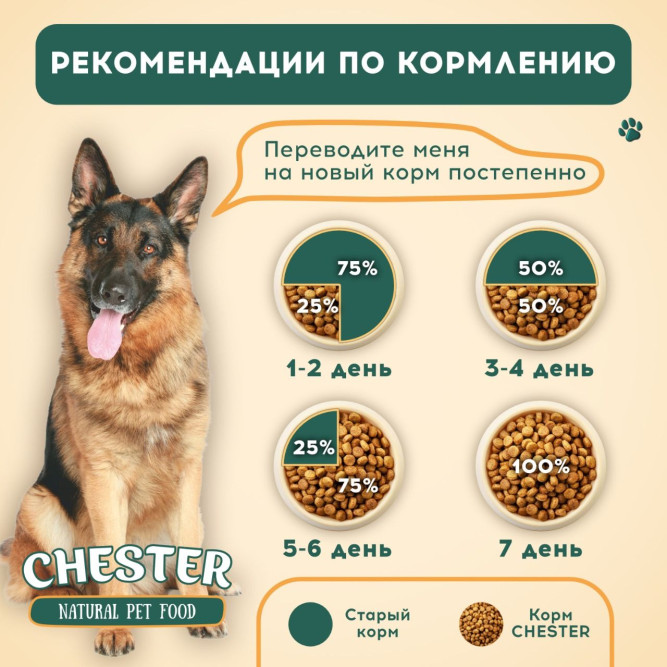 Chester Энергия сухой корм для взрослых собак средних и крупных пород, мясное ассорти  - 14 кг