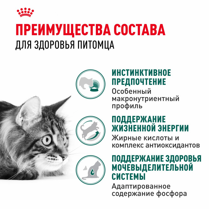 Royal Canin Instinctive 7+ влажный корм для пожилых кошек старше 7 лет, мелкие кусочки в соусе, в паучах - 85 г х 28 шт