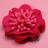 Mr.Kranch нюхательная игрушка Цветок, размер 20 см, розовый