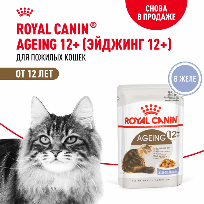 Royal Canin Agening 12+ влажный корм для стареющих кошек старше 12 лет, мелкие кусочки в желе, в паучах - 85 г х 28 шт