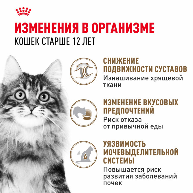 Royal Canin Agening 12+ влажный корм для стареющих кошек старше 12 лет, мелкие кусочки в желе, в паучах - 85 г х 28 шт
