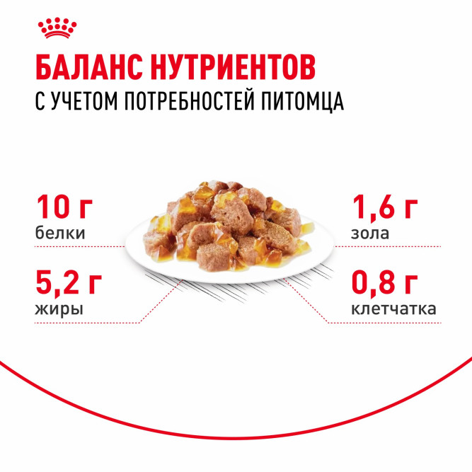 Royal Canin Agening 12+ влажный корм для стареющих кошек старше 12 лет, мелкие кусочки в желе, в паучах - 85 г х 28 шт