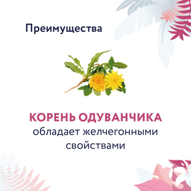 Florida Preventive Line Hepatic сухой диетический корм для взрослых кошек при заболеваниях печени - 1,5 кг