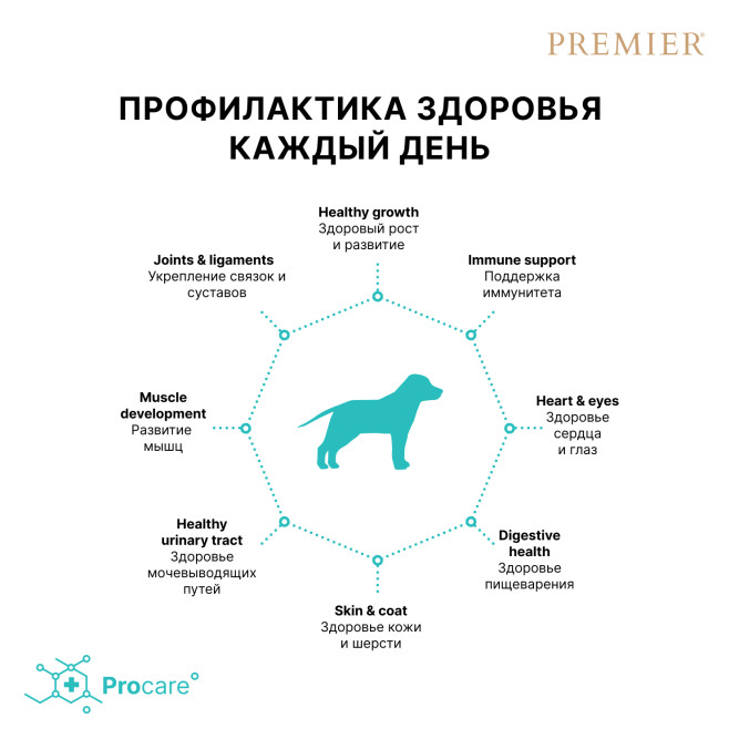 Premier Dog Turkey Junior Medium&amp;Maxi сухой корм для юниоров и кормящих собак средних и крупных пород, со свежим мясом индейки - 10 кг 