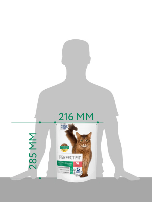 Perfect Fit Sterile сухой корм для взрослых стерилизованных кошек до 8 лет, с говядиной - 650 г
