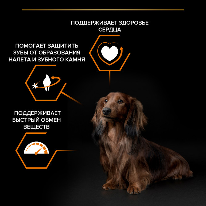 Purina Pro Plan Small &amp; Mini сухой корм для взрослых собак миниатюрных и мелких пород с курицей и рисом - 700 г