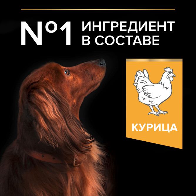 Purina Pro Plan Small &amp; Mini сухой корм для взрослых собак миниатюрных и мелких пород с курицей и рисом - 700 г