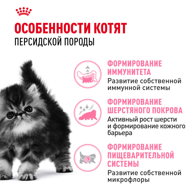 Royal Canin Kitten Persian сухой корм для котят персидской породы от 2 до 12 месяцев, беременных и кормящих кошек - 400 г