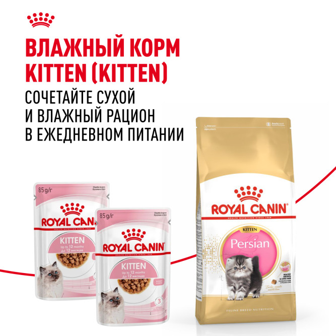Royal Canin Kitten Persian сухой корм для котят персидской породы от 2 до 12 месяцев, беременных и кормящих кошек - 400 г
