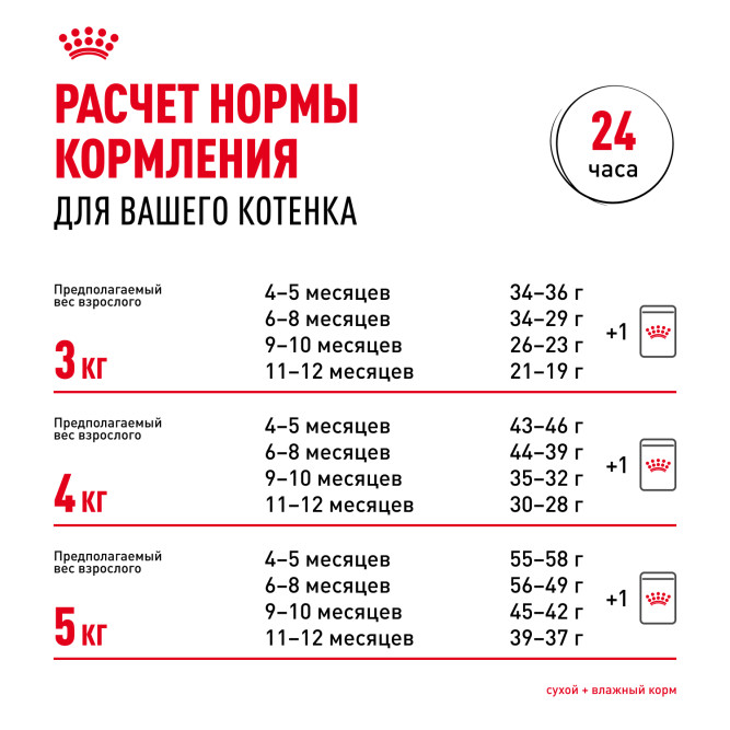 Royal Canin Kitten Persian сухой корм для котят персидской породы от 2 до 12 месяцев, беременных и кормящих кошек - 400 г