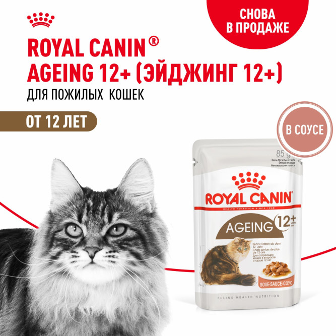 Royal Canin Agening 12+ влажный корм для стареющих кошек старше 12 лет, мелкие кусочки в соусе, в паучах - 85 г х 28 шт