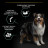 Pro Plan Opti Digest Medium сухой корм для взрослых собак средних пород при чувствительном пищеварении с ягненком - 7 кг