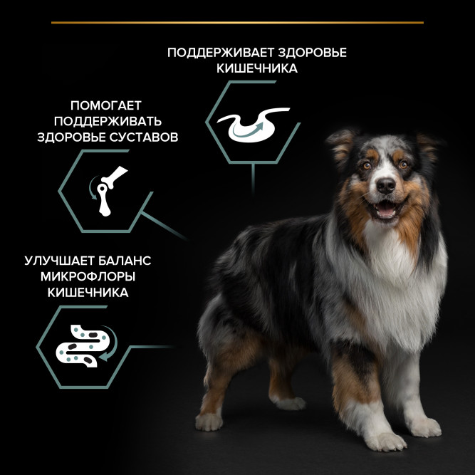 Pro Plan Adult Sensitive Digestion сухой корм для взрослых собак средних пород с чувствительным пищеварением, с ягненком - 7 кг