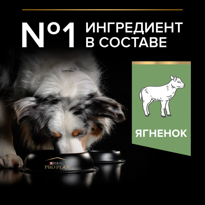 Pro Plan Adult Sensitive Digestion сухой корм для взрослых собак средних пород с чувствительным пищеварением, с ягненком - 7 кг
