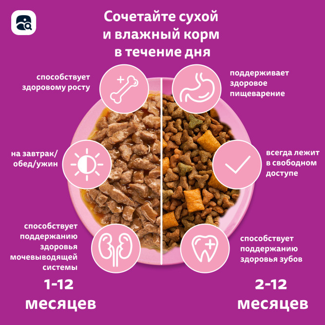 Whiskas Вкусные подушечки с молочной начинкой сухой корм для котят от 2 до 12 месяцев Аппетитное ассорти с индейкой и морковью - 350 г