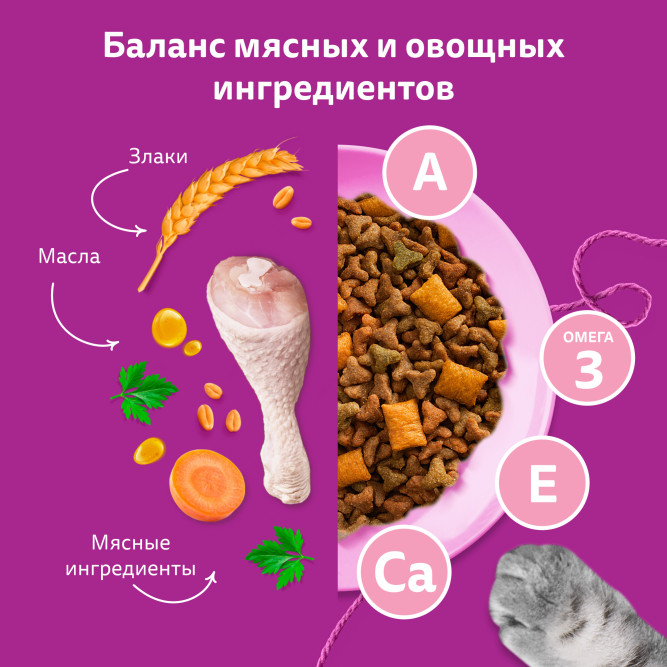Whiskas Вкусные подушечки с молочной начинкой сухой корм для котят от 2 до 12 месяцев Аппетитное ассорти с индейкой и морковью - 350 г