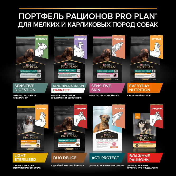 Pro Plan Adult Sensitive Skin сухой корм для взрослых собак мелких и карликовых пород с чувствительной кожей, с лососем - 700 г