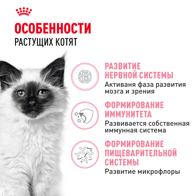 Royal Canin Kitten 34 сухой корм для котят от 4 до 12 месяцев с птицей - 10 кг