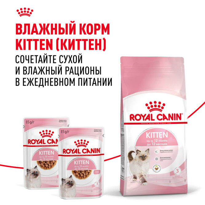 Royal Canin Kitten 34 сухой корм для котят от 4 до 12 месяцев с птицей - 10 кг