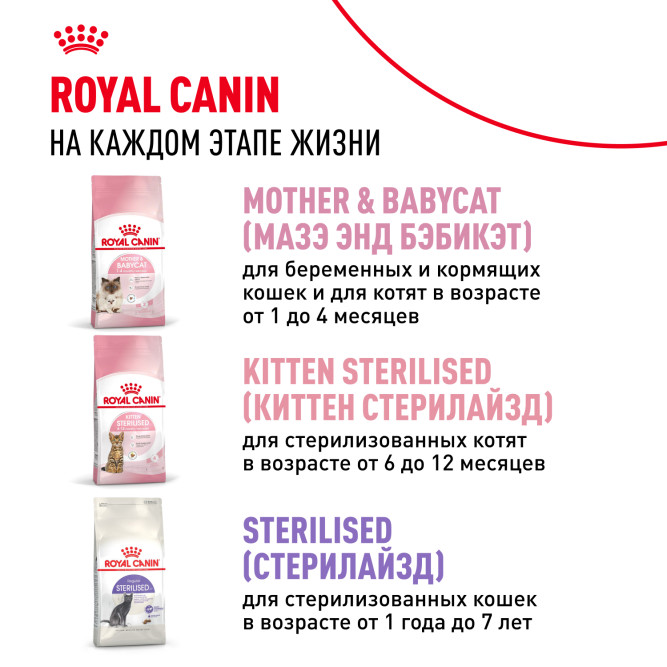 Royal Canin Kitten 34 сухой корм для котят от 4 до 12 месяцев с птицей - 10 кг
