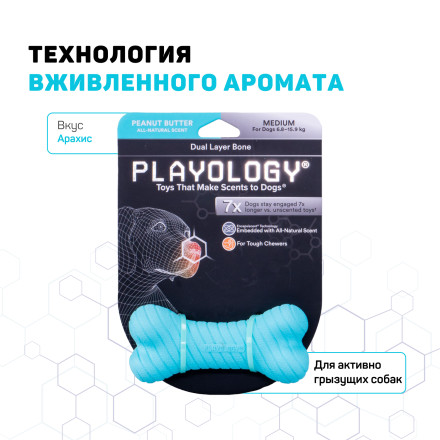 Playology DUAL LAYER BONE двухслойная жевательная косточка для собак с ароматом арахиса, большая, голубой