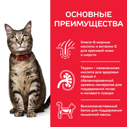 Сухой корм Hills Science Plan для взрослых кошек для поддержания жизненной энергии и иммунитета, с тунцом - 10 кг