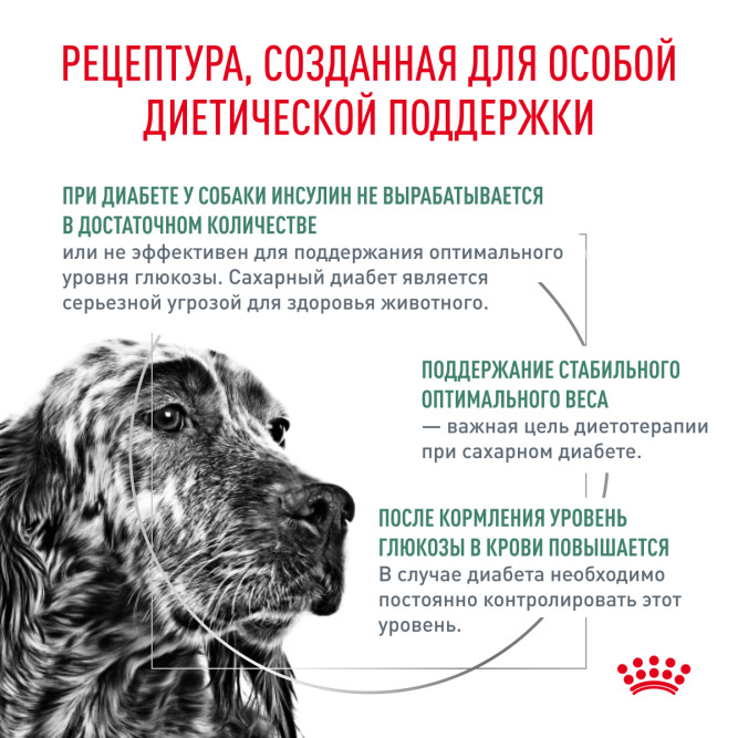 Royal Canin Diabetic Canine DS37 сухой корм для собак при ожирении 2 - й стадии или при сахарном диабете - 12 кг