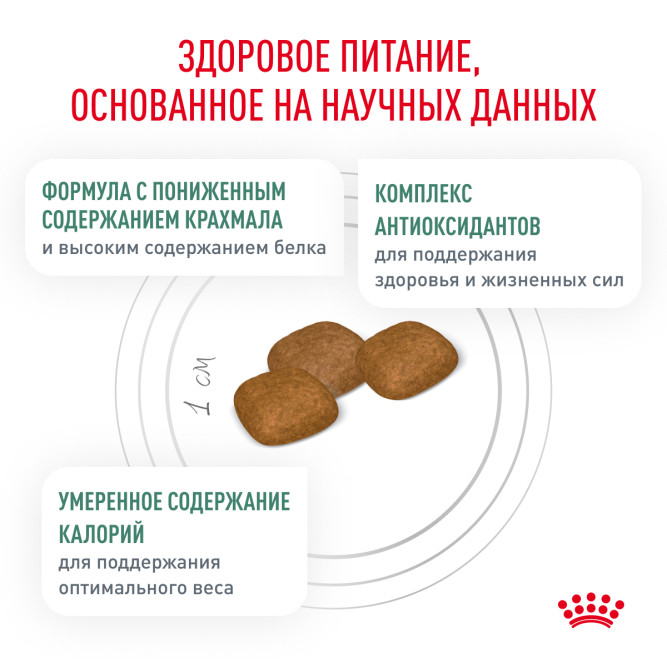 Royal Canin Diabetic Canine DS37 сухой корм для собак при ожирении 2 - й стадии или при сахарном диабете - 12 кг