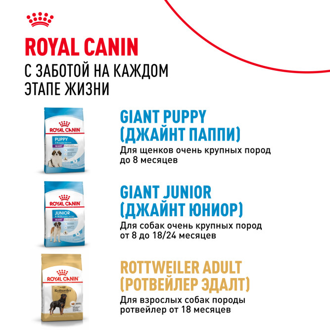 Royal Canin Giant Adult сухой корм для взрослых собак гигантских пород - 15 кг