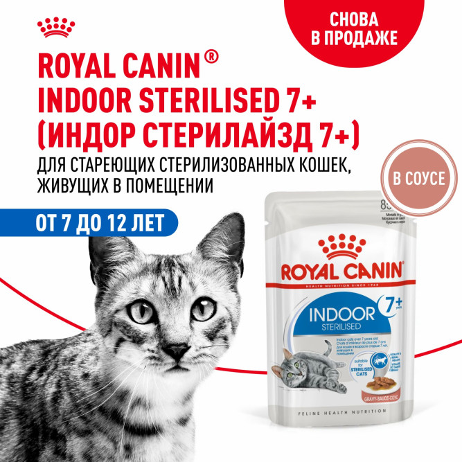 Royal Canin Indoor Sterilised 7+ влажный корм для стерилизованных кошек в возрасте от 7 до 12 лет, живущих в помещении, мелкие кусочки в соусе, в паучах - 85 г х 28 шт
