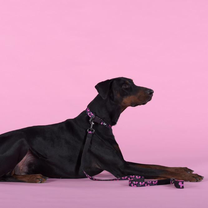 United Pets Complete me Identity ошейник для собак, M 34-56/2 см, черный с розовым