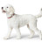 Hunter ALU-Strong S ошейник для собак, обхват 30-45 см, нейлон, с металлической застежкой, пепельная роза